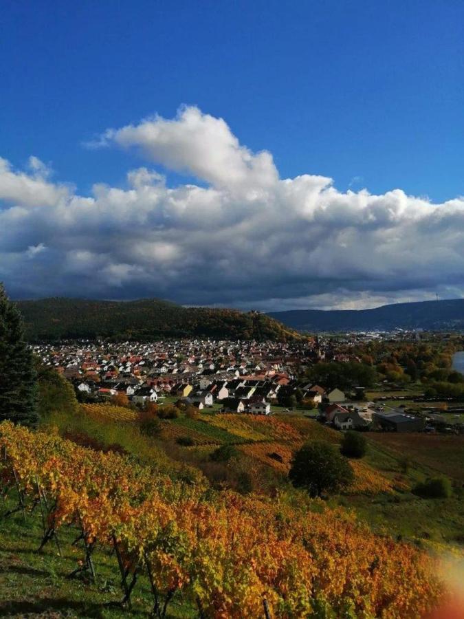 Ferienwohnung Familie Buchner Grossheubach ภายนอก รูปภาพ